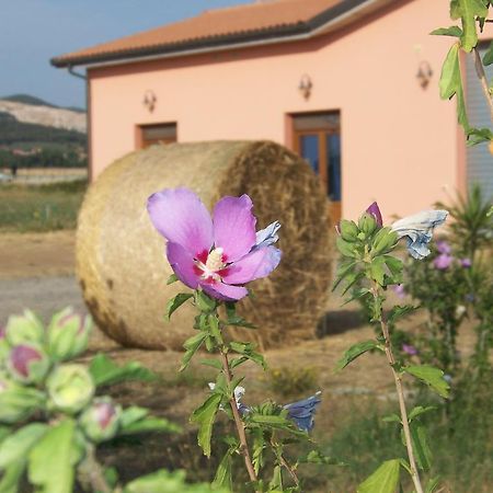 Agriturismo La Nocciolina Venturina Terme Buitenkant foto