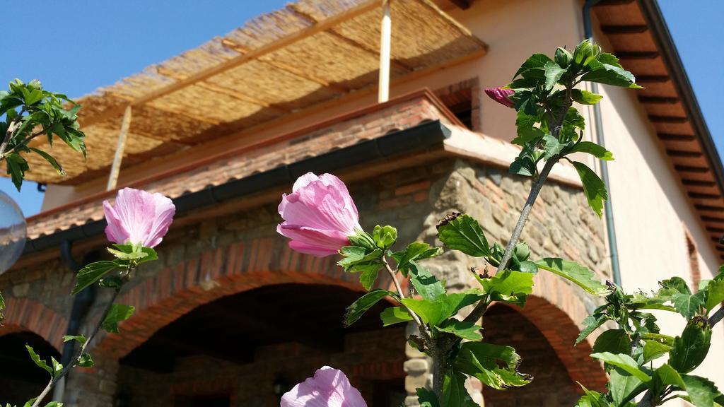 Agriturismo La Nocciolina Venturina Terme Buitenkant foto