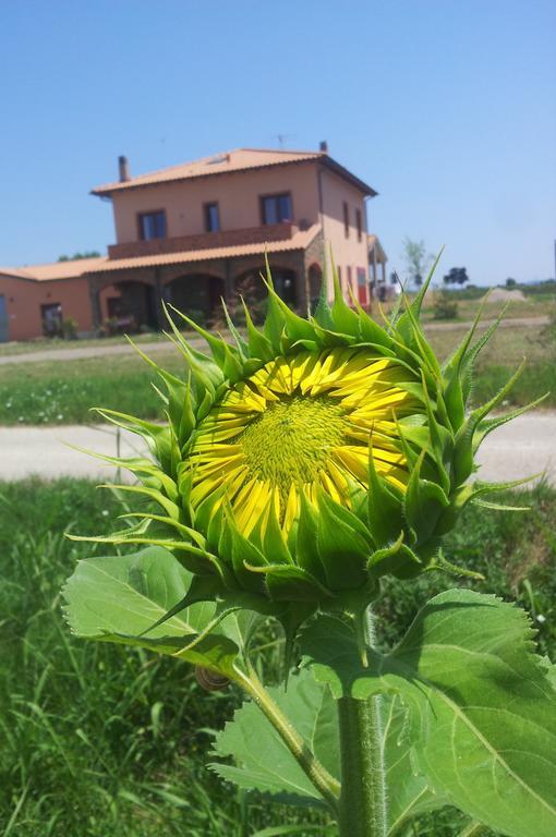 Agriturismo La Nocciolina Venturina Terme Buitenkant foto