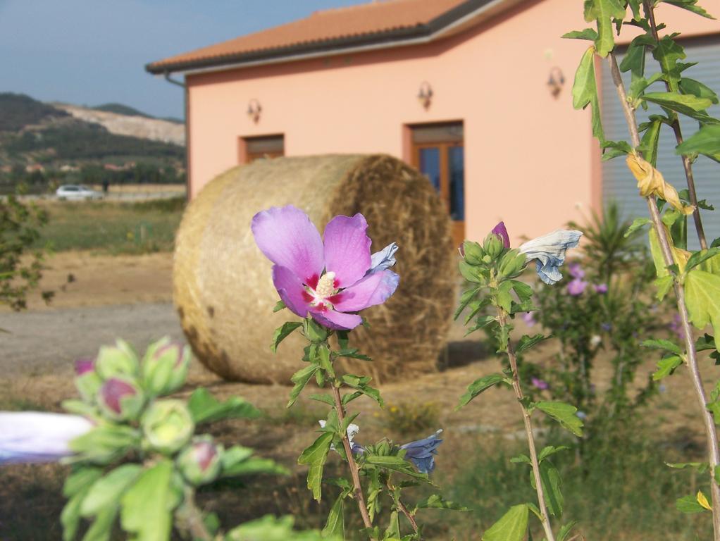 Agriturismo La Nocciolina Venturina Terme Buitenkant foto