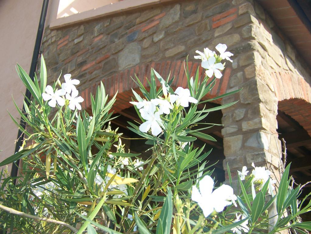 Agriturismo La Nocciolina Venturina Terme Buitenkant foto