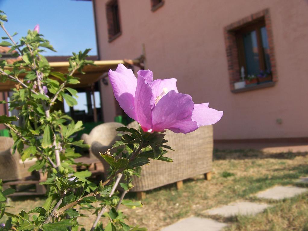 Agriturismo La Nocciolina Venturina Terme Buitenkant foto